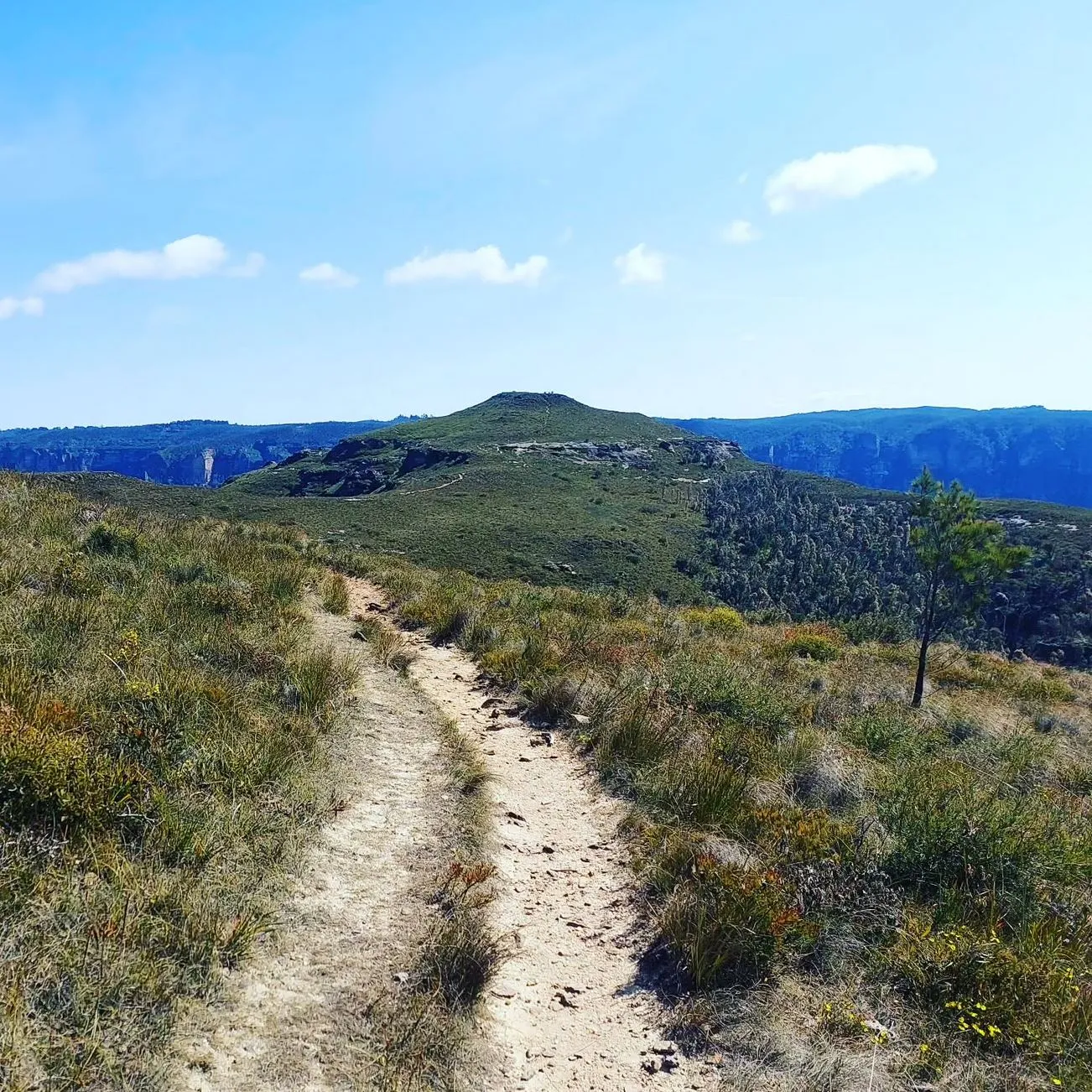 Vitrier Moissy Cramayel | What Are Some Less Touristy Walks With Great Views in the Blue Mountains? 1 Day Blue Mountains Tour