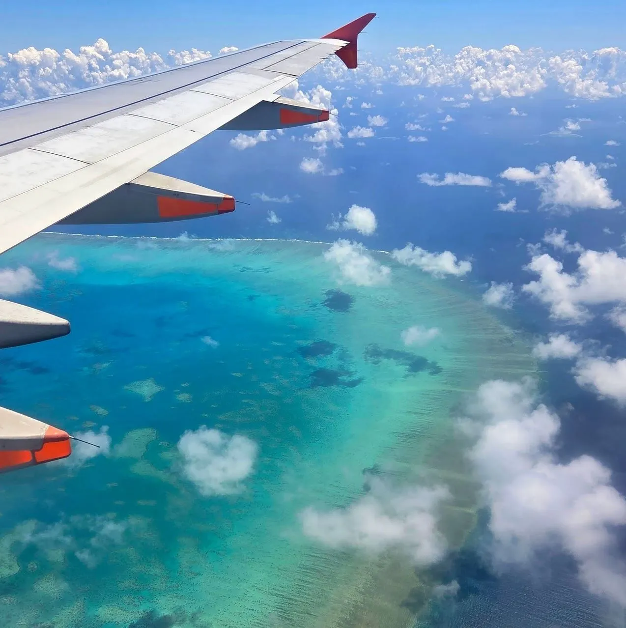 Vitrier Moissy Cramayel | Great Barrier Reef for Beginners: Easiest Places to Start Cairns, A Smooth Sailing Launch Point that’s Raring to Go