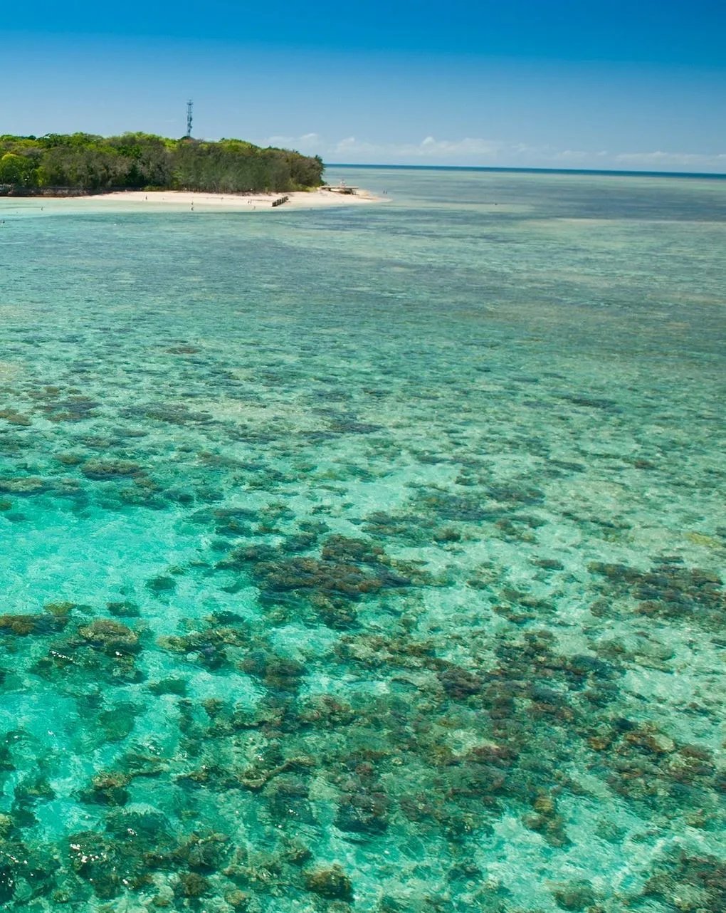 Vitrier Moissy Cramayel | Great Barrier Reef for Beginners: Easiest Places to Start Easy Planning Made Slightly Easier