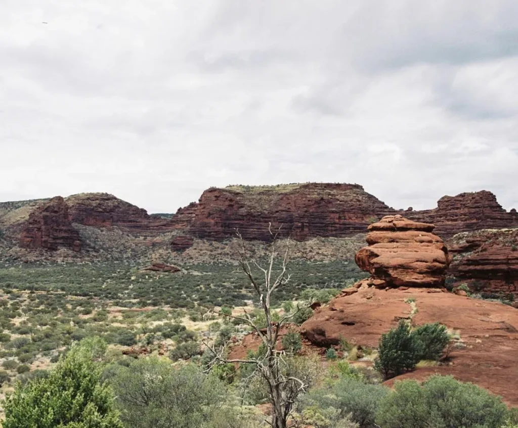 Finke Gorge