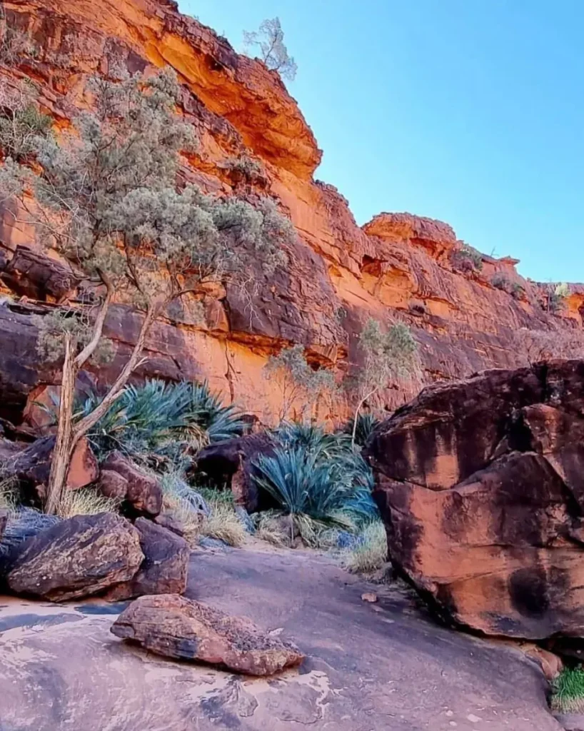 Finke Gorge National Park