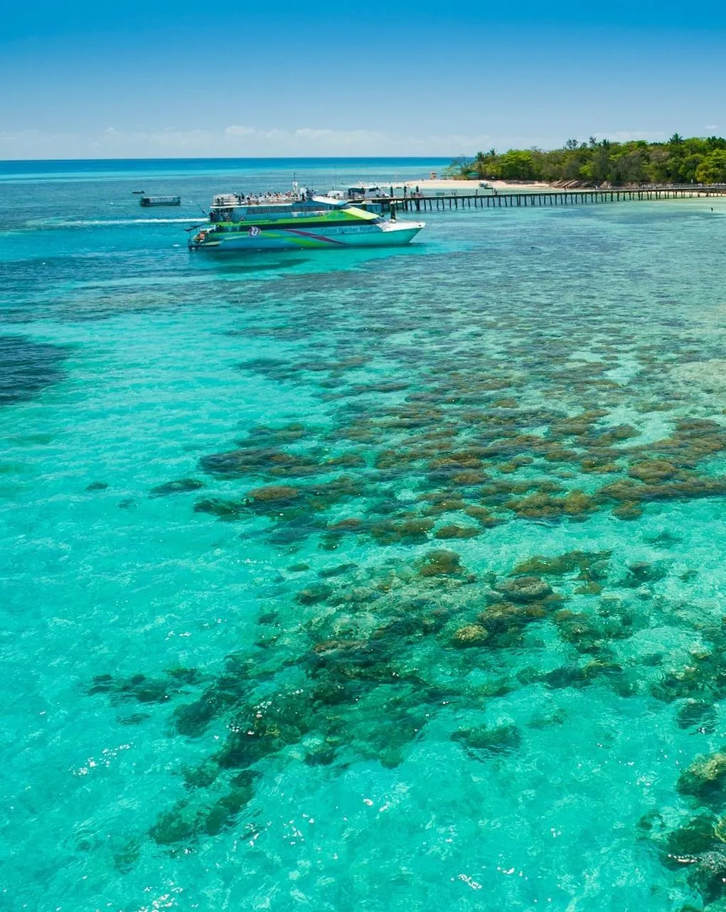 Vitrier Moissy Cramayel | Great Barrier Reef for Beginners: Easiest Places to Start Green Island