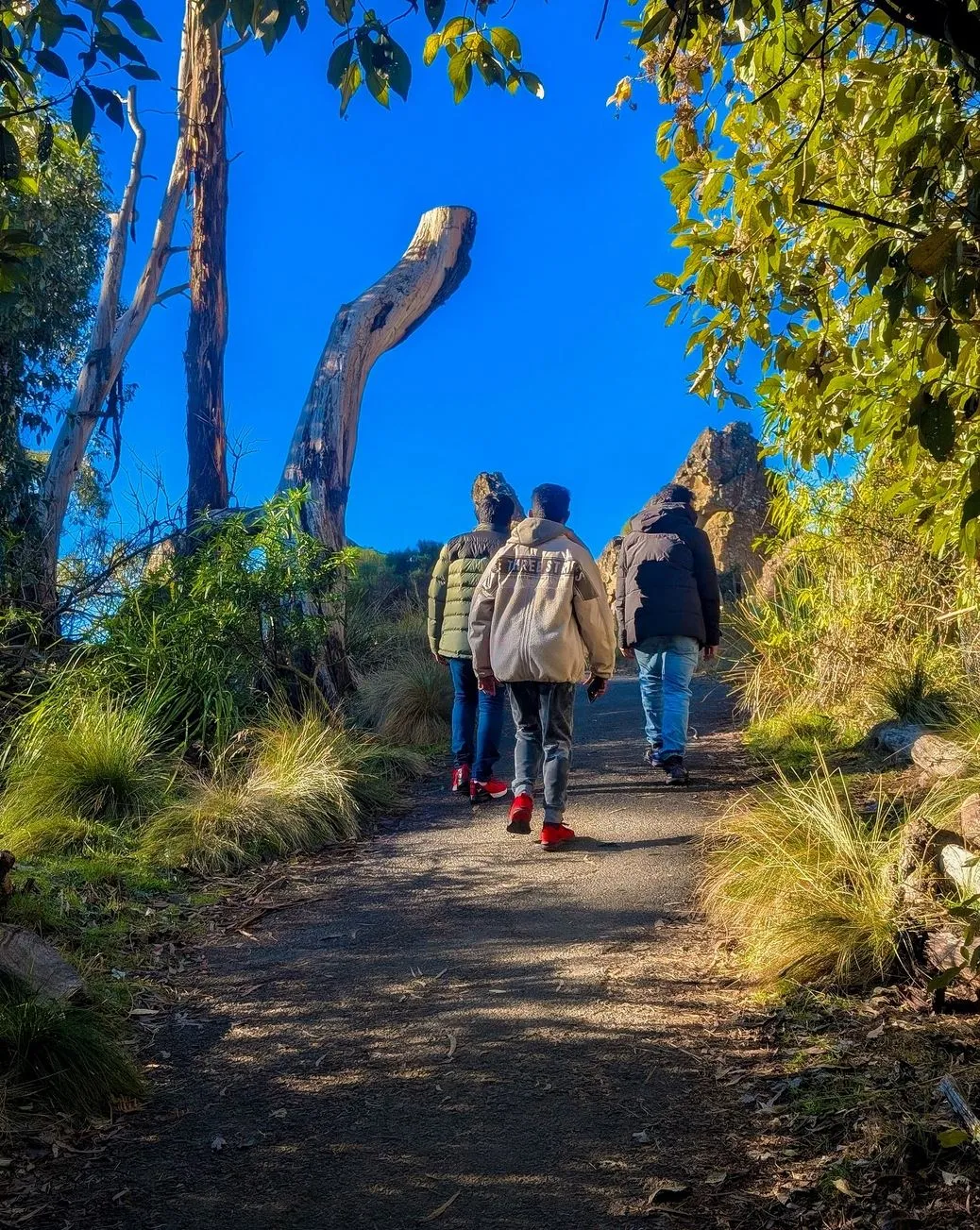 Vitrier Moissy Cramayel | What Are Some Less Touristy Walks With Great Views in the Blue Mountains? Hanging Rock Track — Where the Edge Really Means Edge