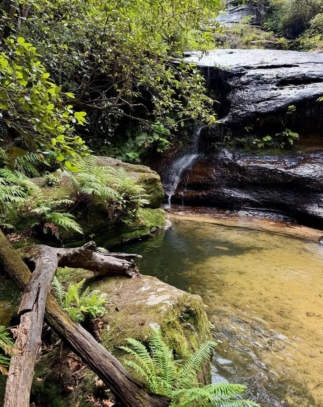 Vitrier Moissy Cramayel | What Are Some Less Touristy Walks With Great Views in the Blue Mountains? Lawson Waterfall Circuit