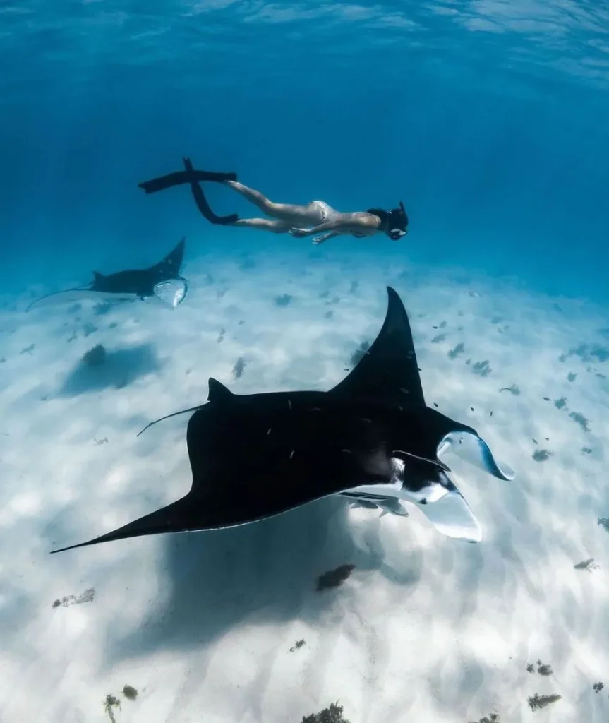 Ningaloo Reef