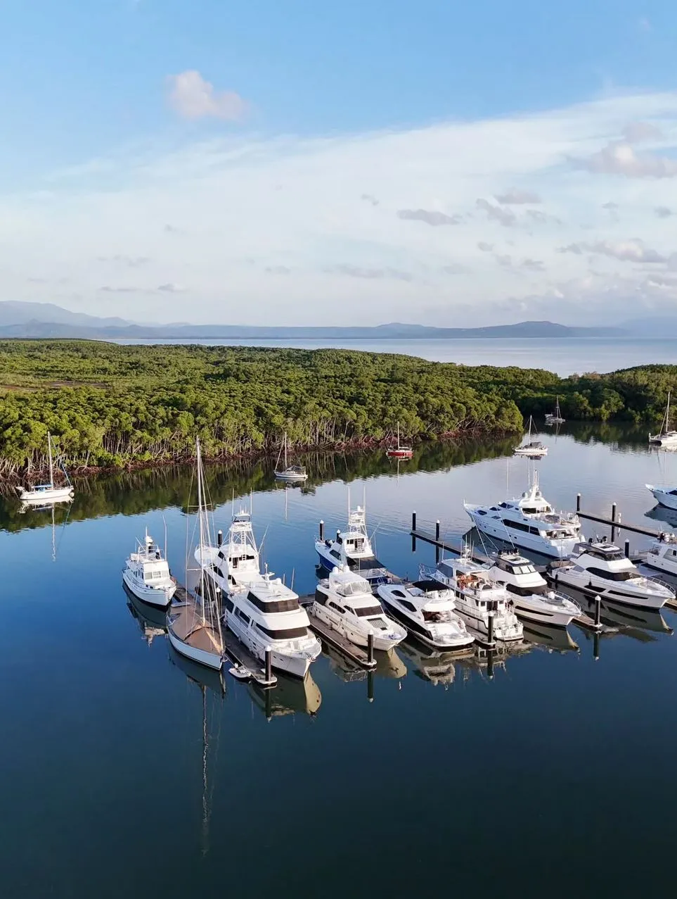 Vitrier Moissy Cramayel | Great Barrier Reef for Beginners: Easiest Places to Start Port Douglas