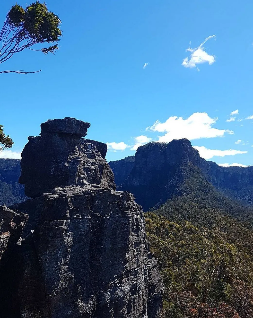 Vitrier Moissy Cramayel | What Are Some Less Touristy Walks With Great Views in the Blue Mountains? Where the Locals Go, Not the Tour Buses
