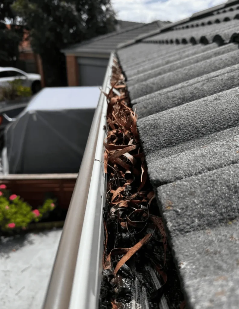 Why Clean Your Gutters