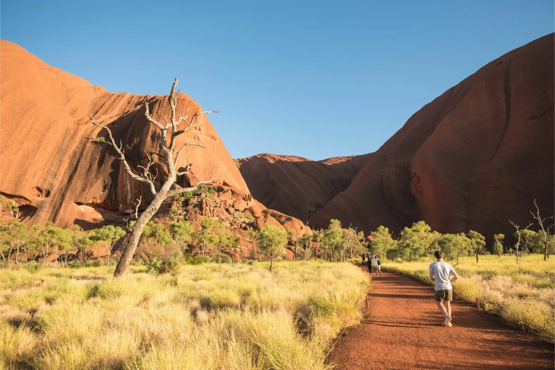 3-Day Uluru Expedition: Cultural Wonders & Natural Splendor at Ayers Rock